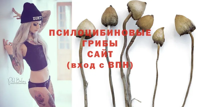 Галлюциногенные грибы Magic Shrooms  хочу   Бронницы 